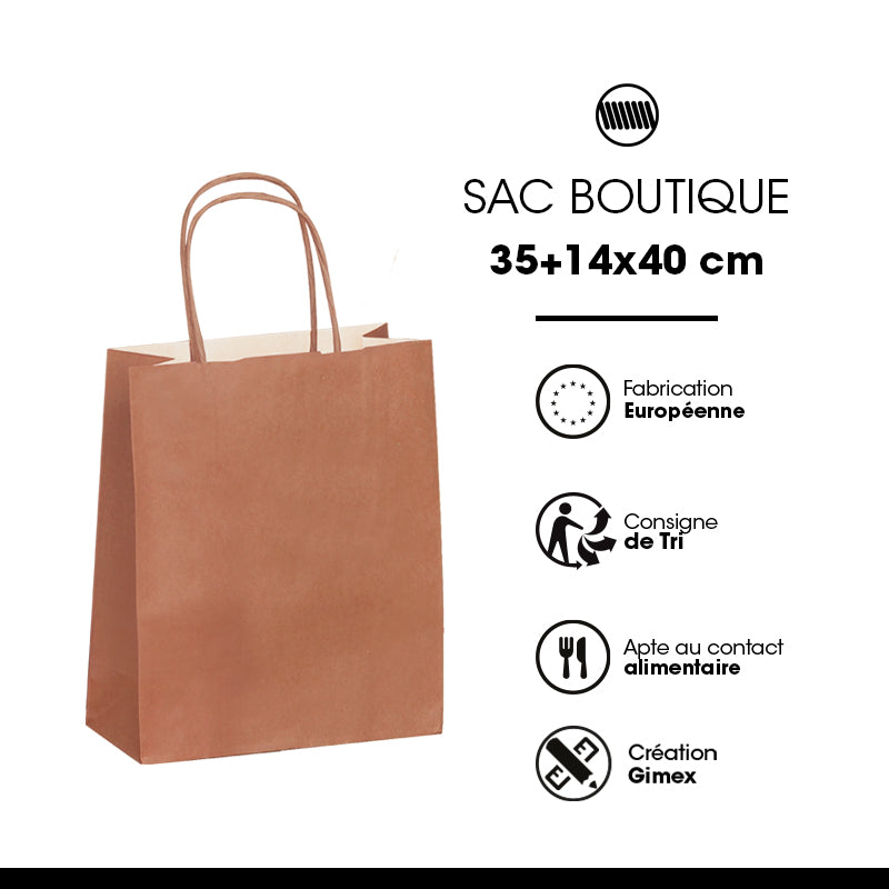 Sac papier poignées torsadées TERRA 35+14x40cm par 250