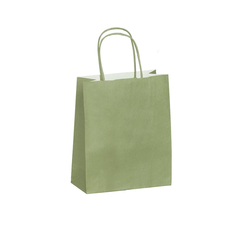Sac papier poignées torsadées VERT AMANDE 23+12x30cm par 250