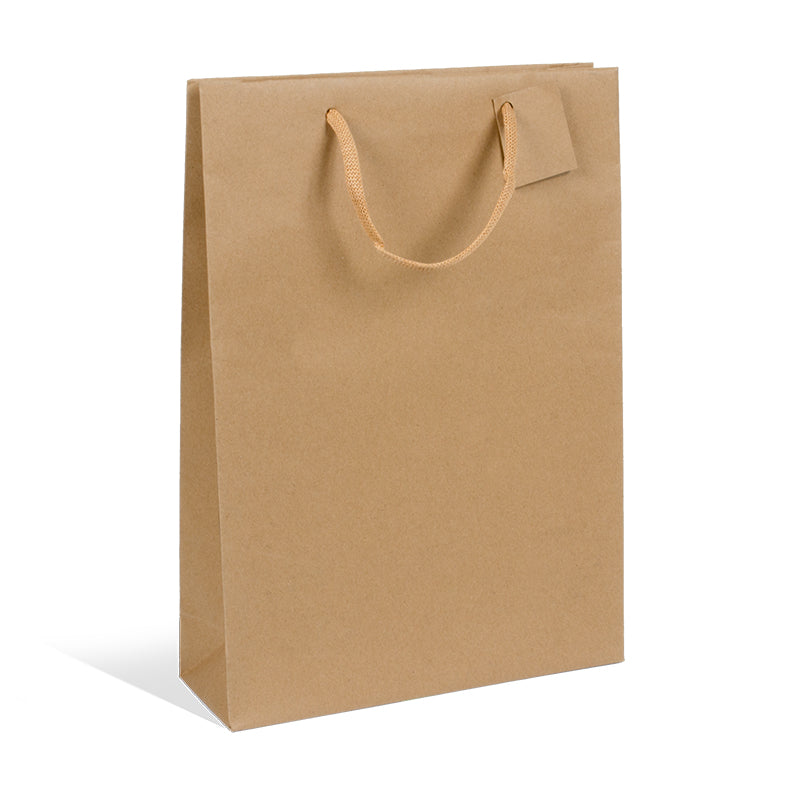 Sac 3 bouteilles kraft brun poignées papier 27+9x38cm par 100