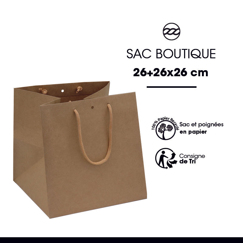 Sac luxe Grand Cube kraft brun poignées papier 26+26x26cm par 120